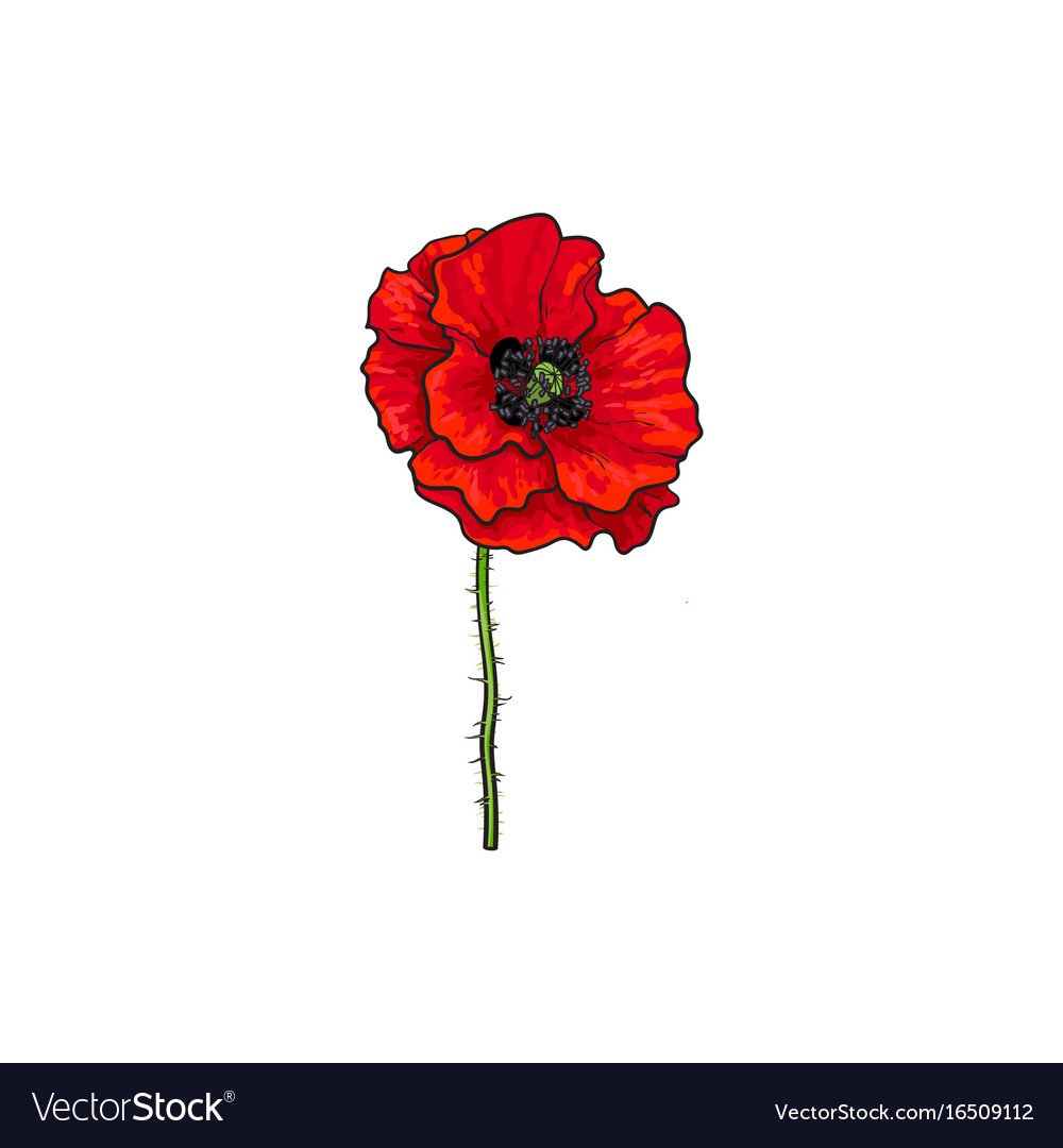 Смайл маков