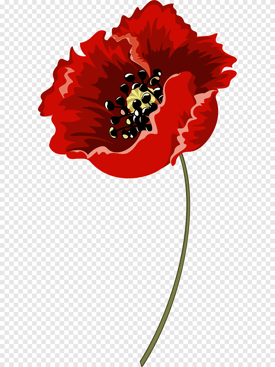 Мак на прозрачном фоне