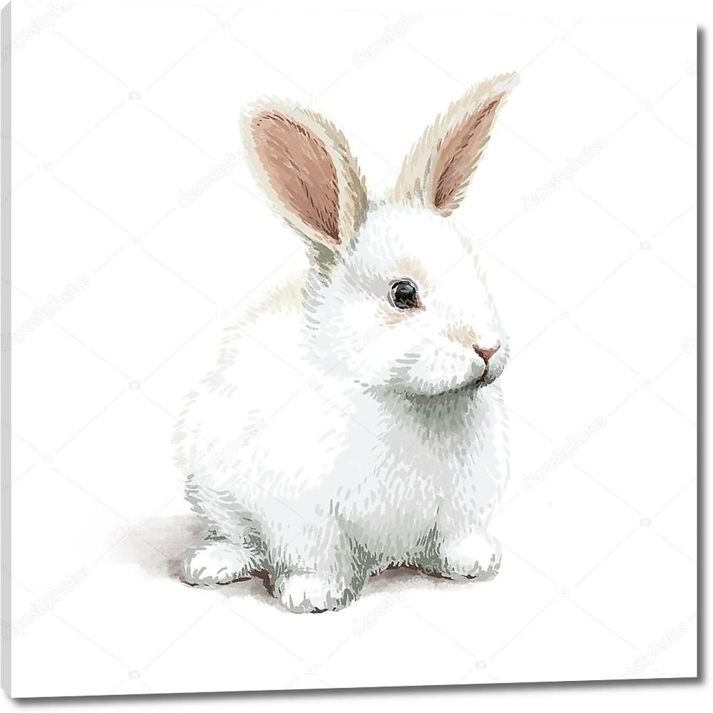 Реалистичный кролик вектор