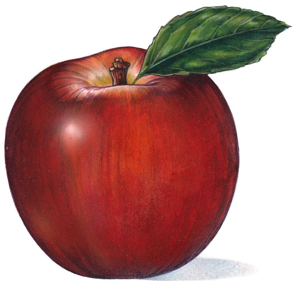 Яблоко гиф