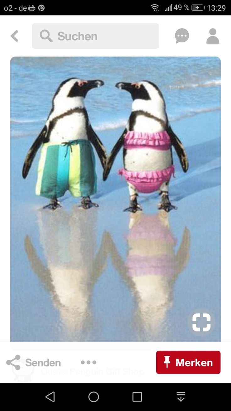 Пингвин прикол