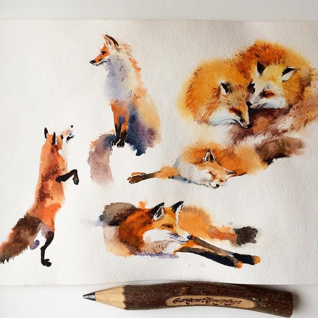 Мультяшные лисы