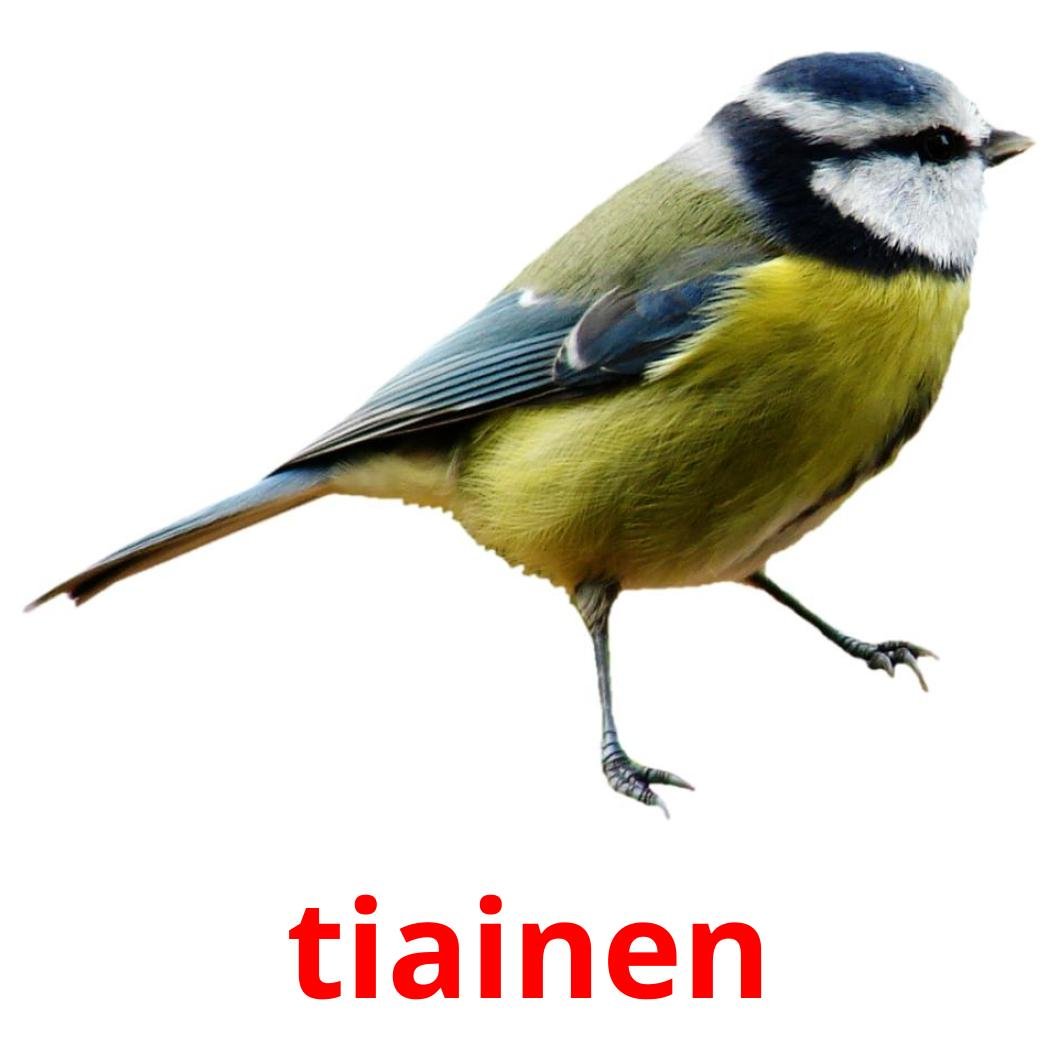 Синица карандашом