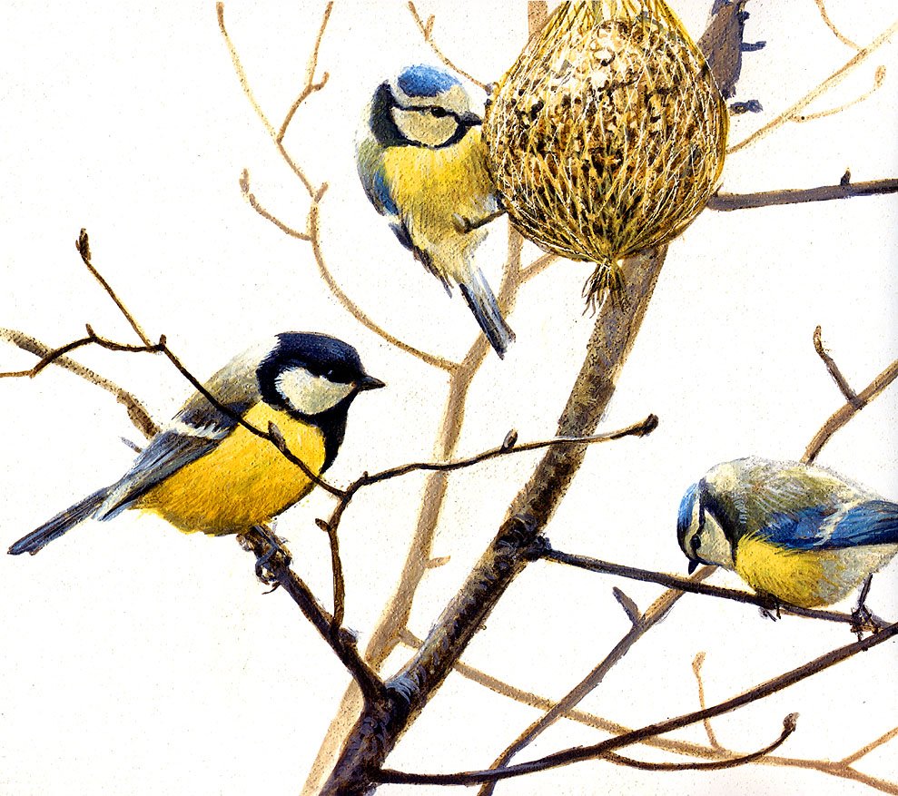 Лазаревка на белом фоне