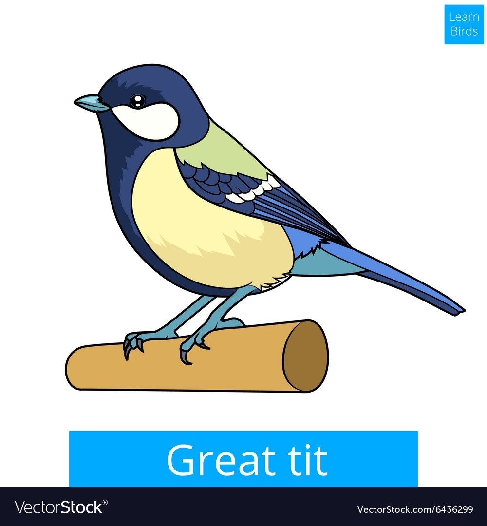 Синицы мультяшные