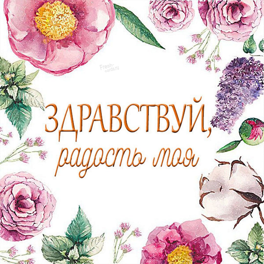 Здравствуй радость моя