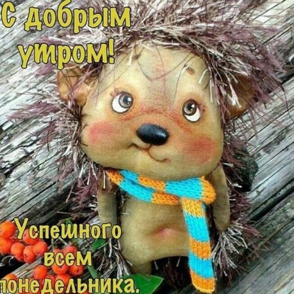 Открытки с понедельником прикольные