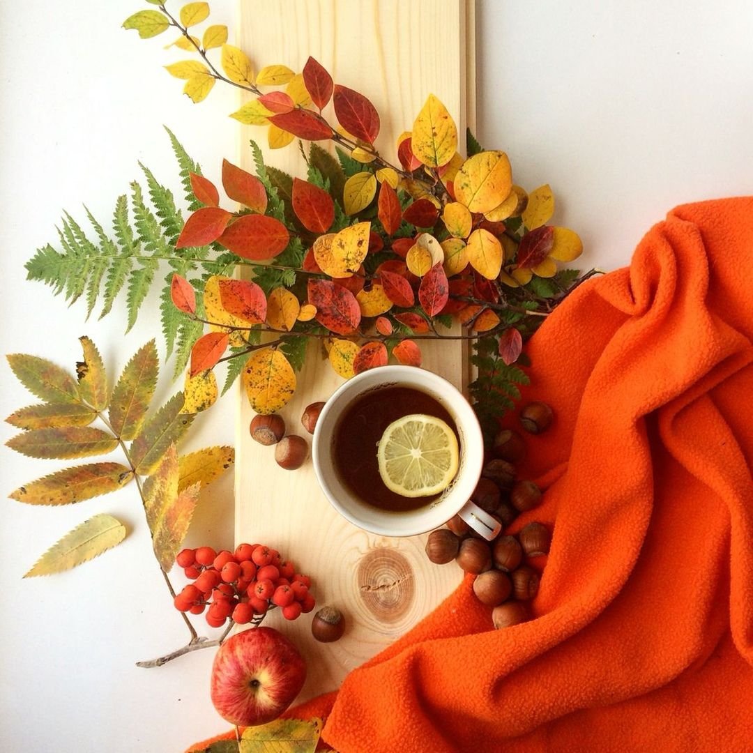 Макаруны "кофе"