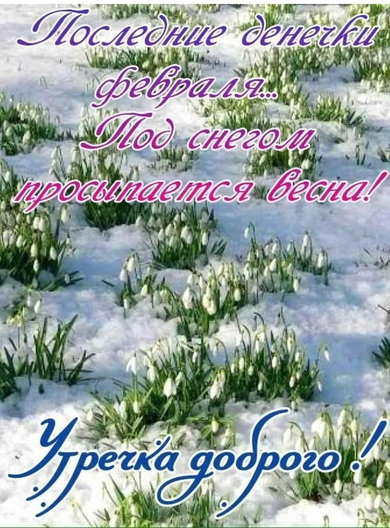 Зимний натюрморт