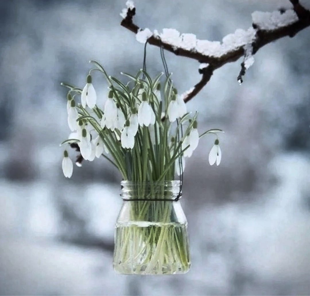 С добрым декабрьским утром гифки