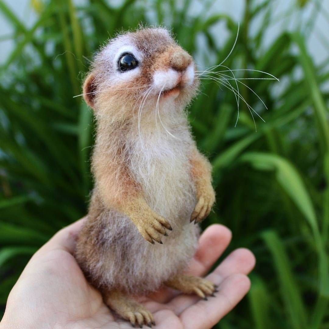 Милые суслики