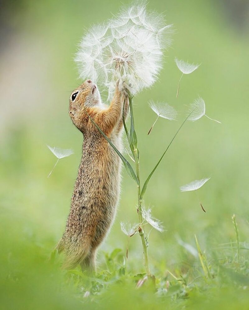 Джулиан рад фотограф из Австрии