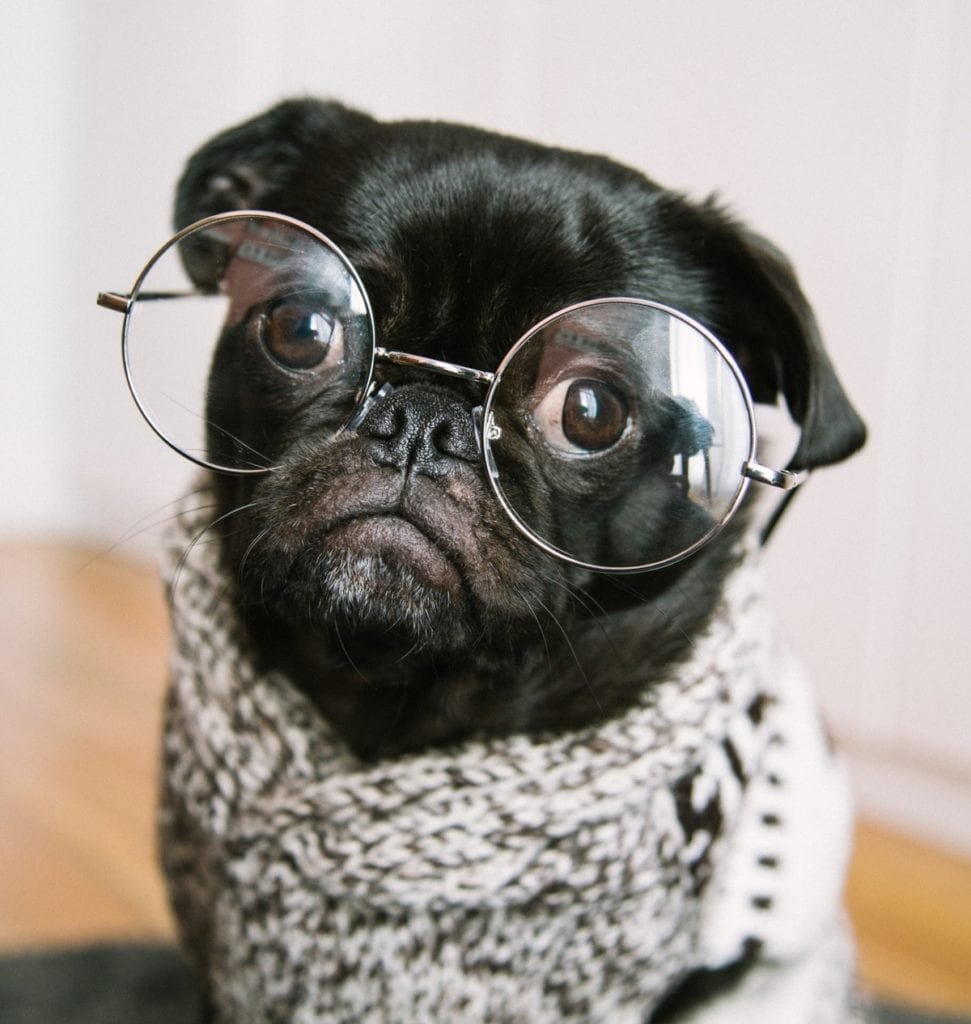 Малыш очкарик