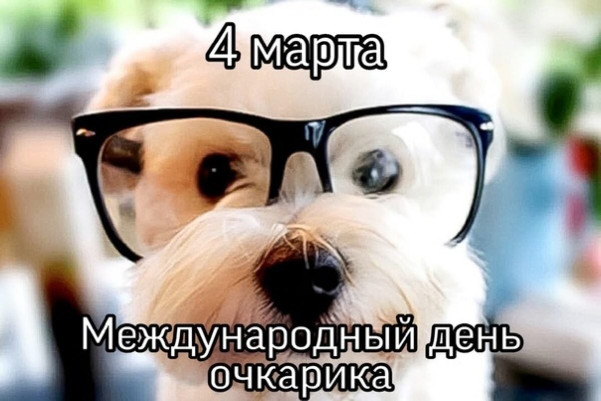 Международный день очкарика 4 марта картинки