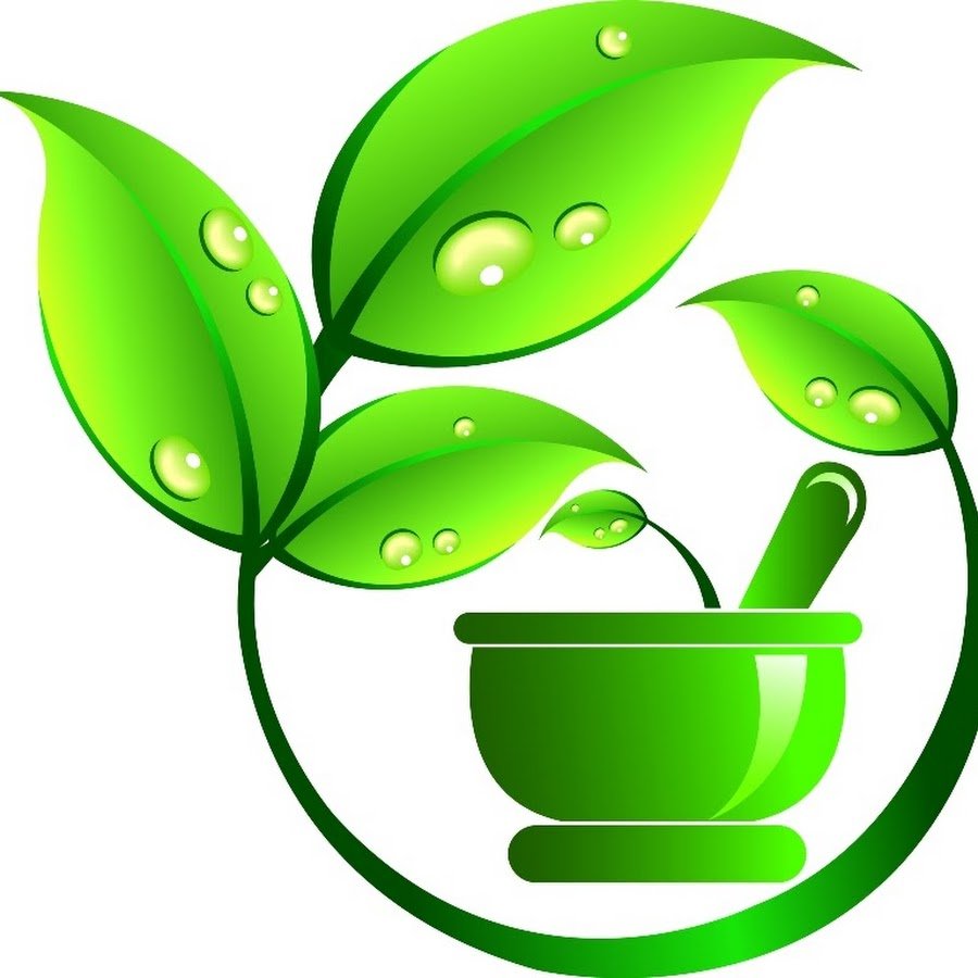 Лекарственные растения логотип