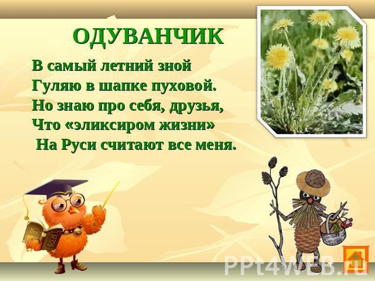 Зелёная аптека картинки для детей