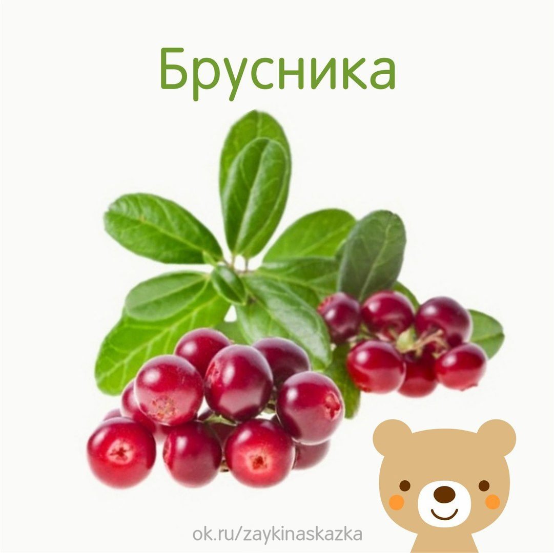 Ягода брусника карточка
