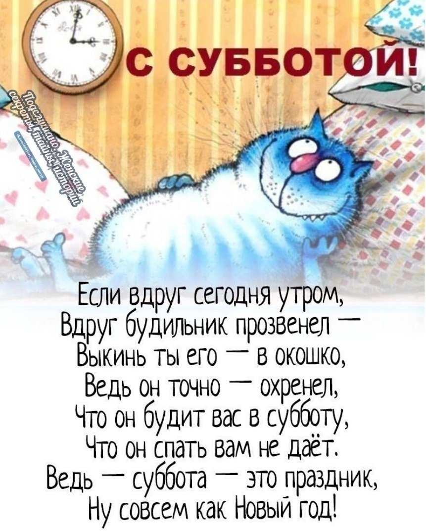 Утро субботы цитаты