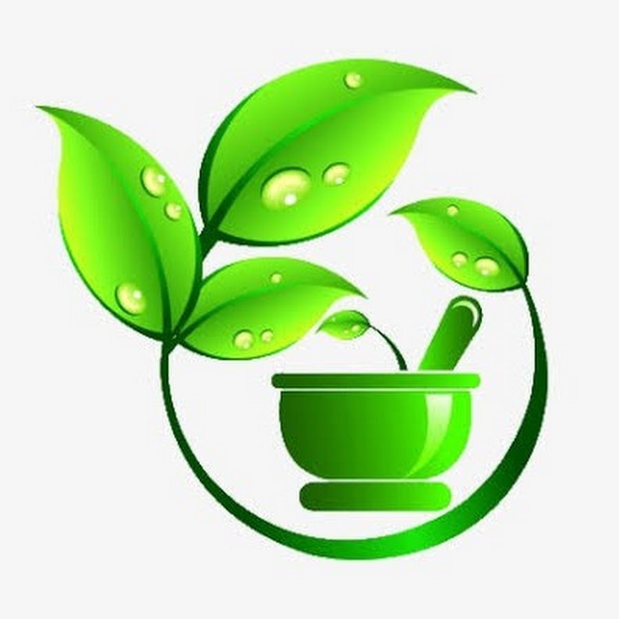 Фито бар на прозрачном фоне