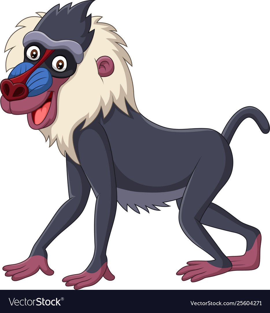 Павиан павиан павиашка