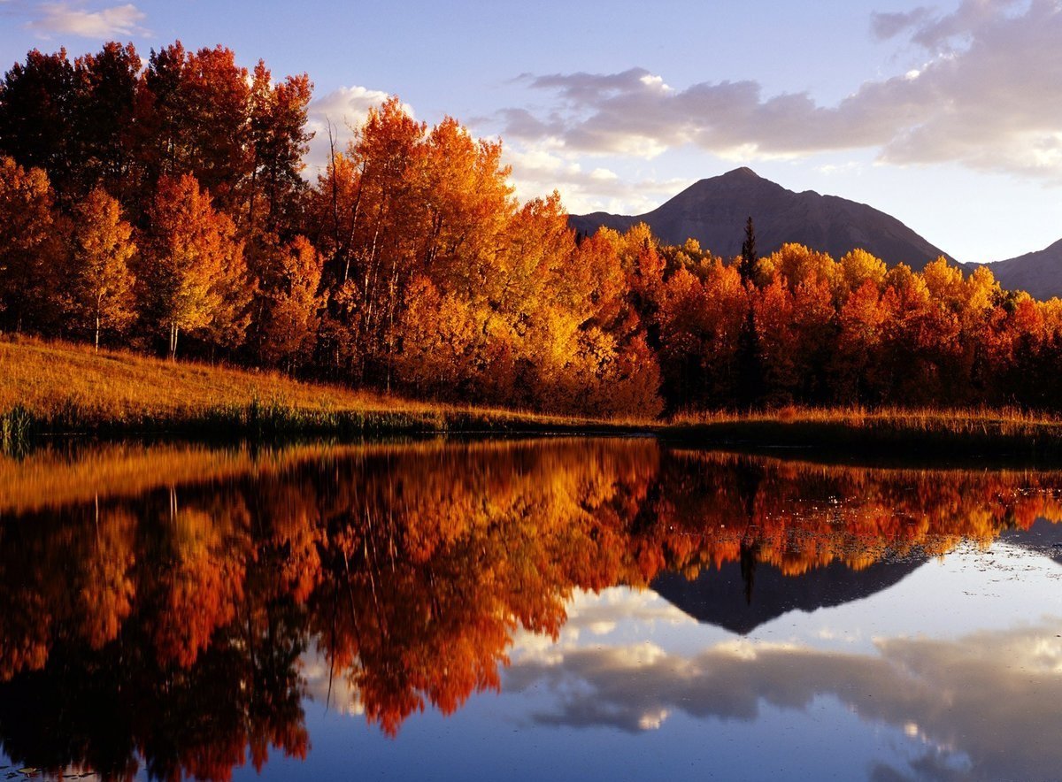 Красивая осень