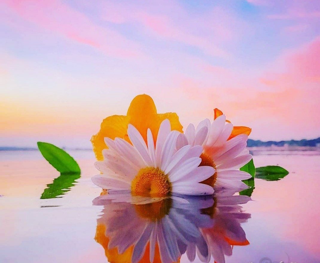 Доброе утро душевные