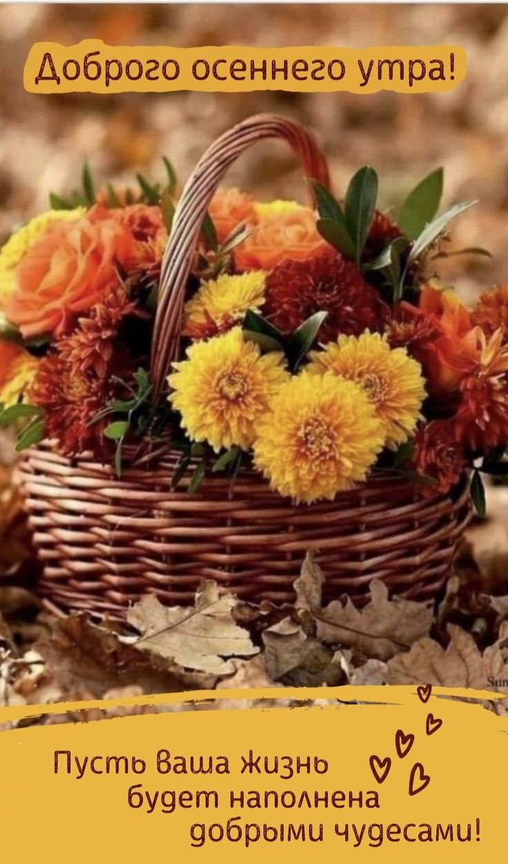 Доброе осеннее утро пятницы
