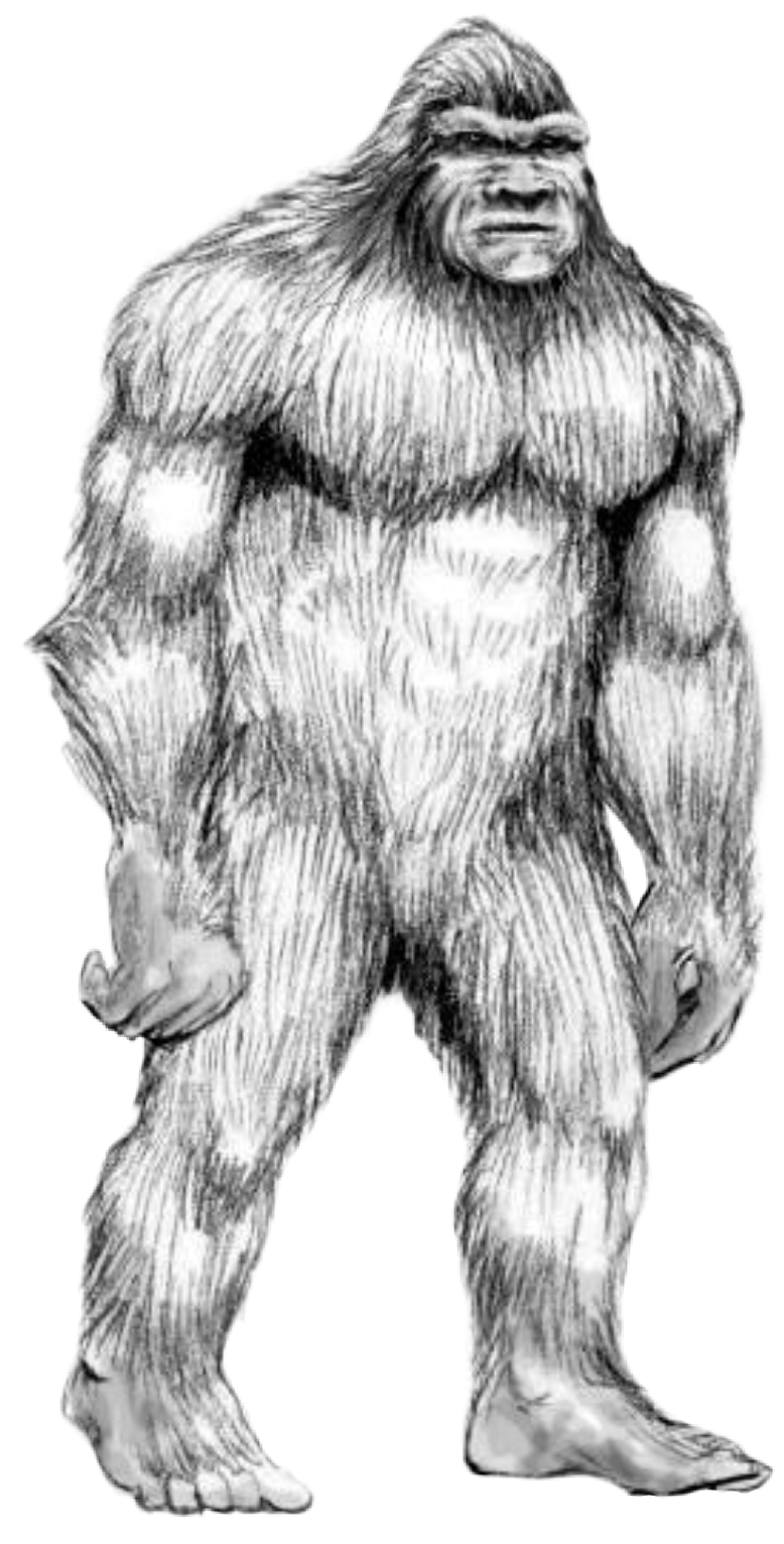 Бигфут сасквоч