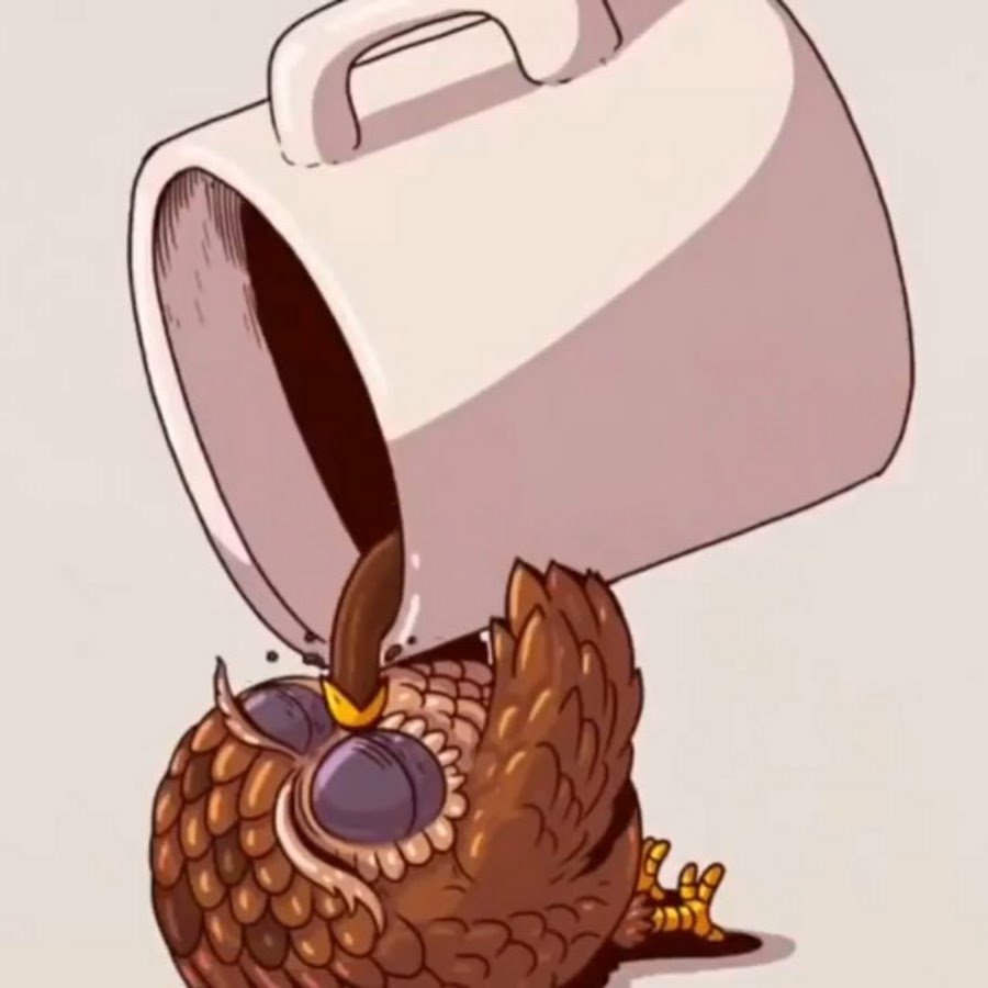 Сова пьет кофе