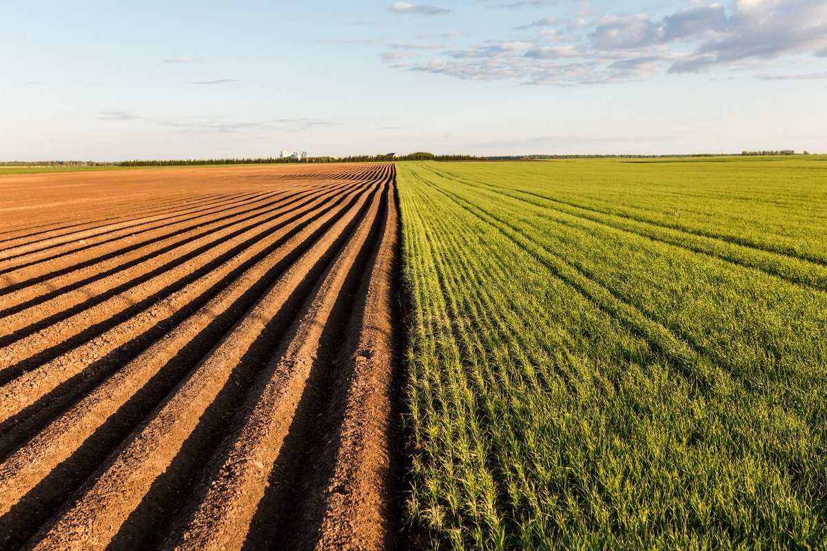 Пахотные земли Краснодарского края