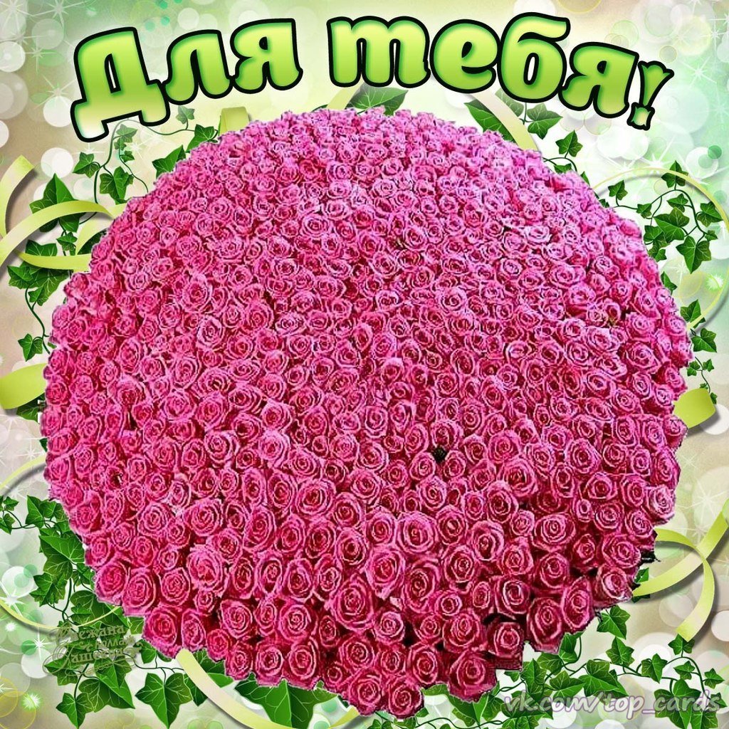 Поздравления с днём рождения девушке Снежане