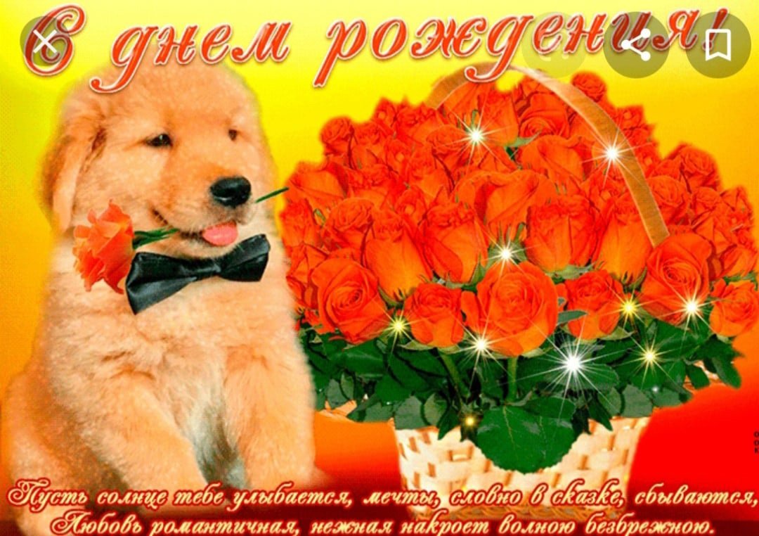 Красивые поздравления с днем рождения