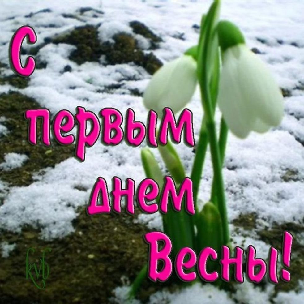 Доброго весеннего утра смешные