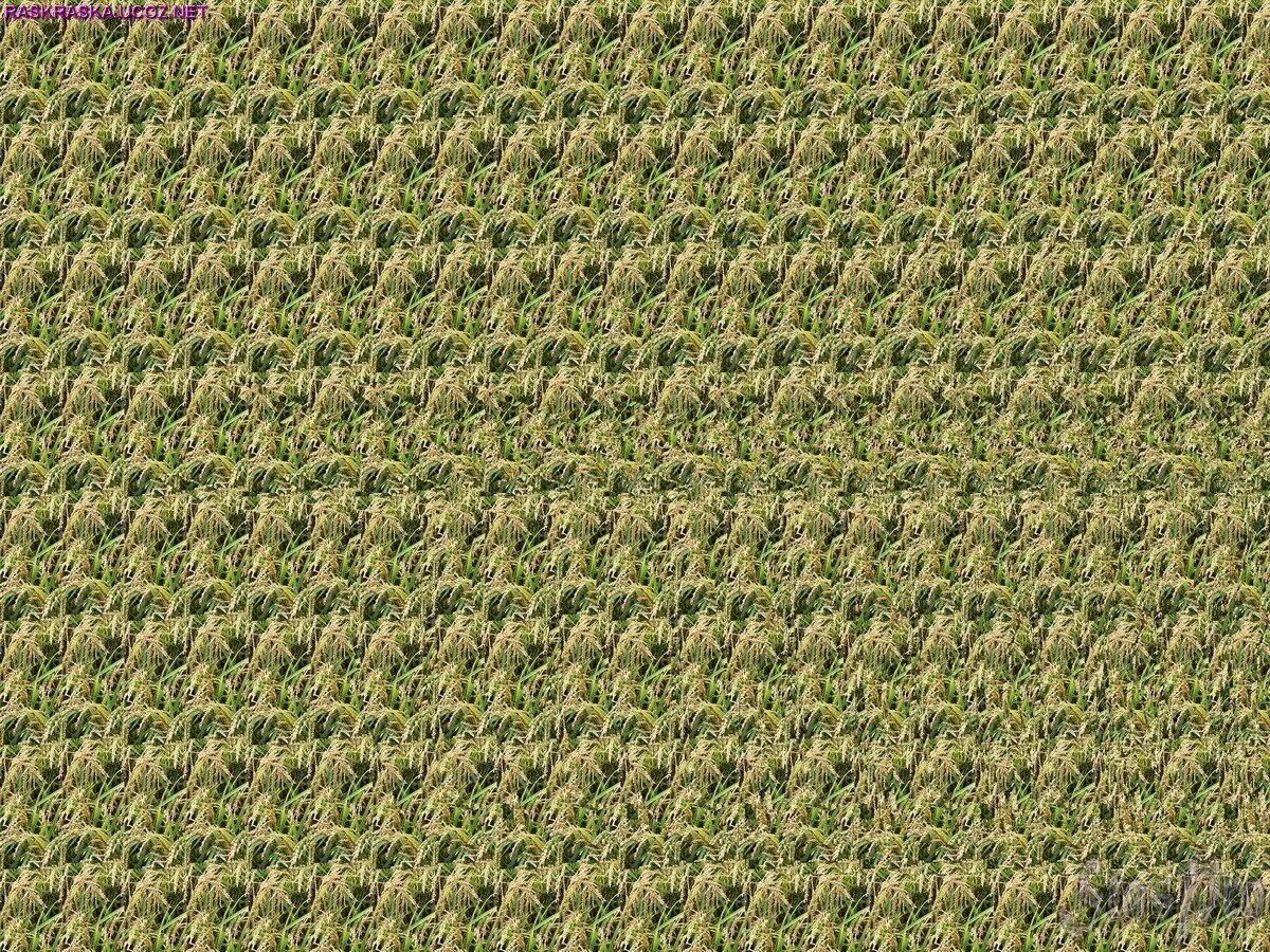 Объемные стереокартинки для глаз