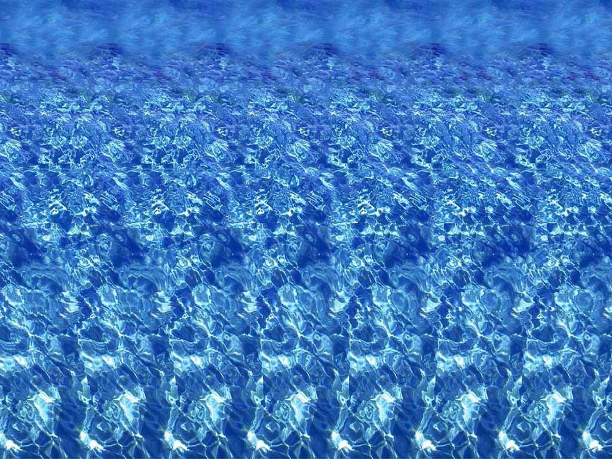 Стереокартинка Дельфин