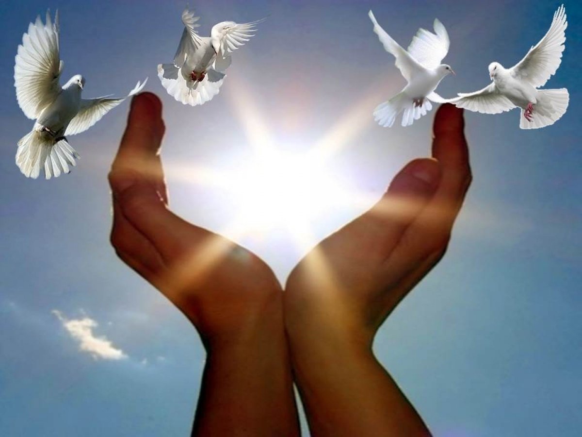 Пожелания мира и добра на земле