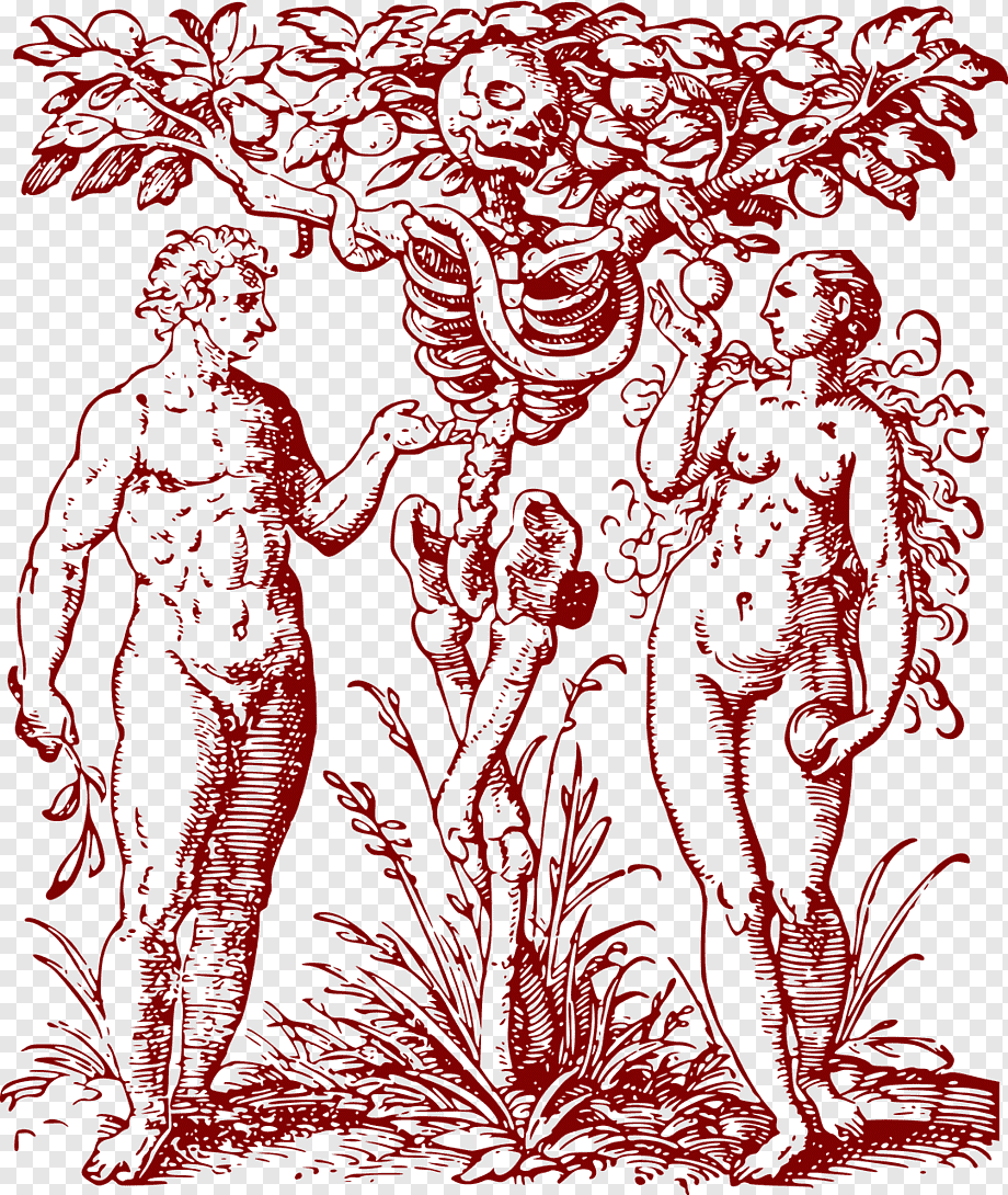 «Адам и ева» (1504)