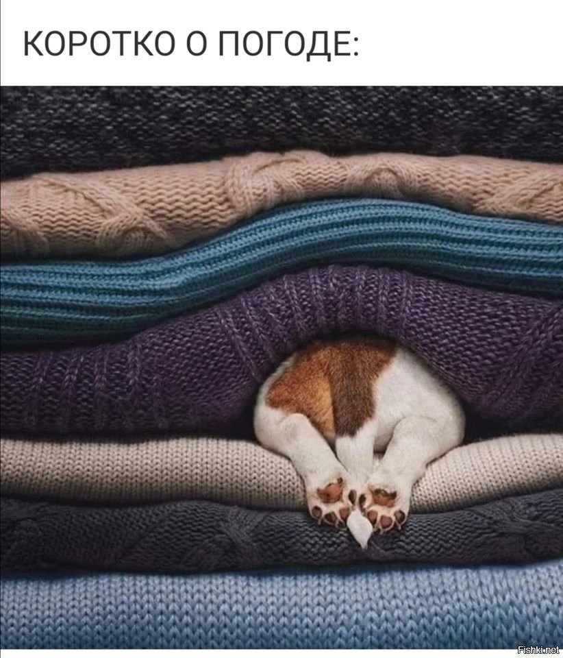 Креативное утро встать