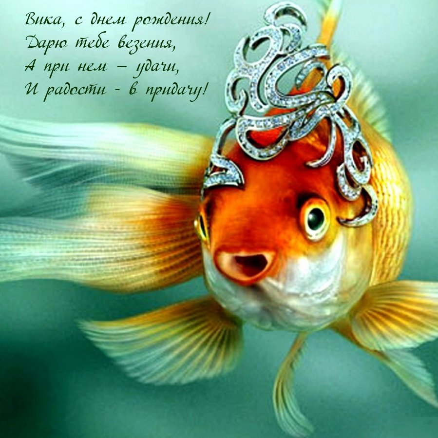 Красивые рыбки в аквариуме