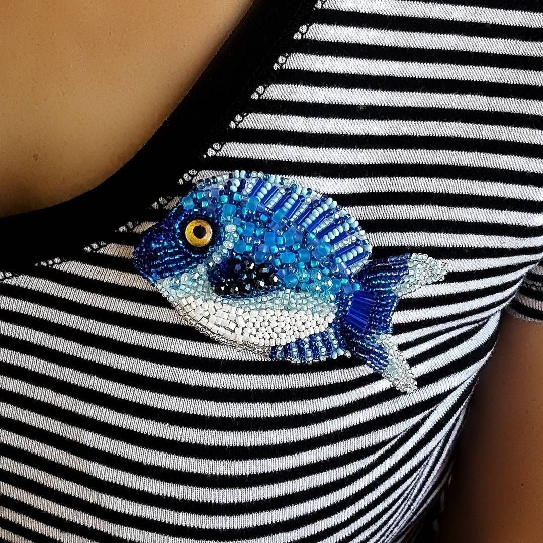 Петушок Дельта аквариумная рыбка