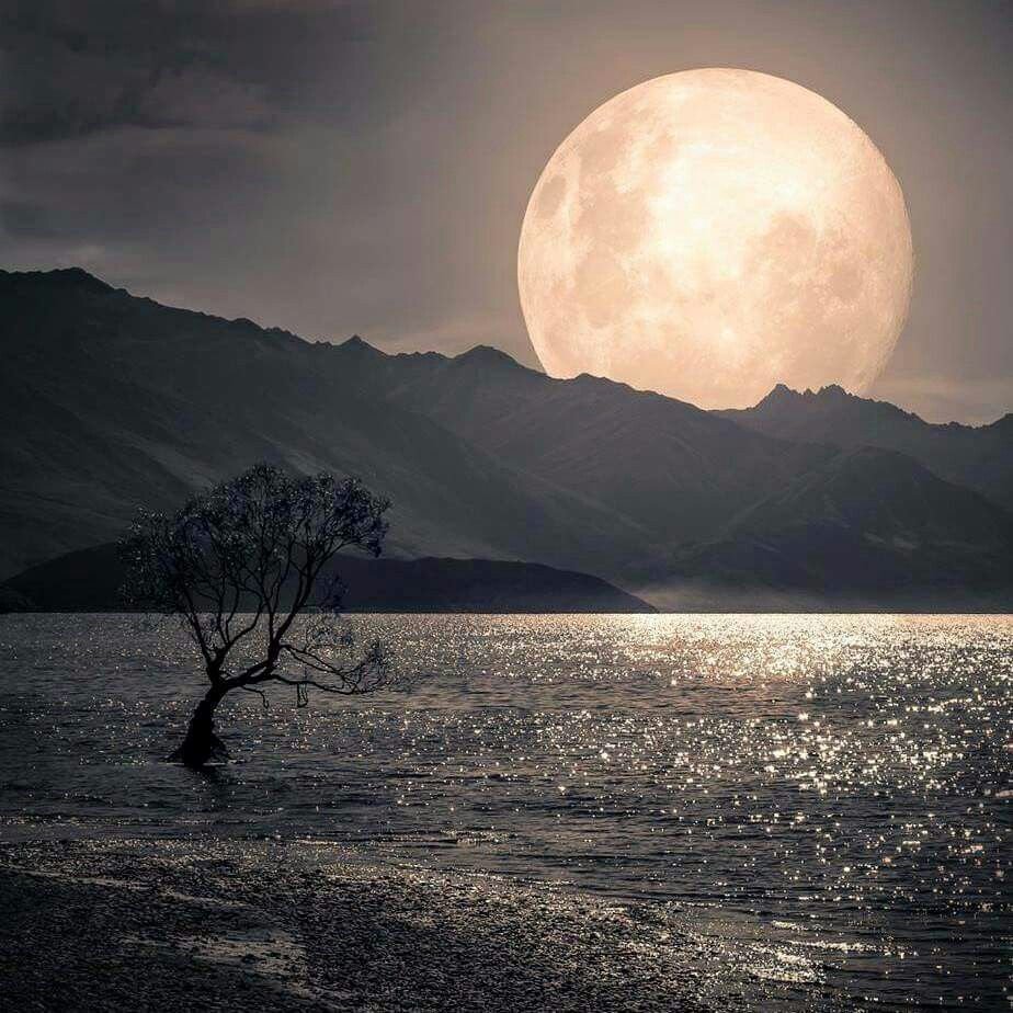 Ночное море