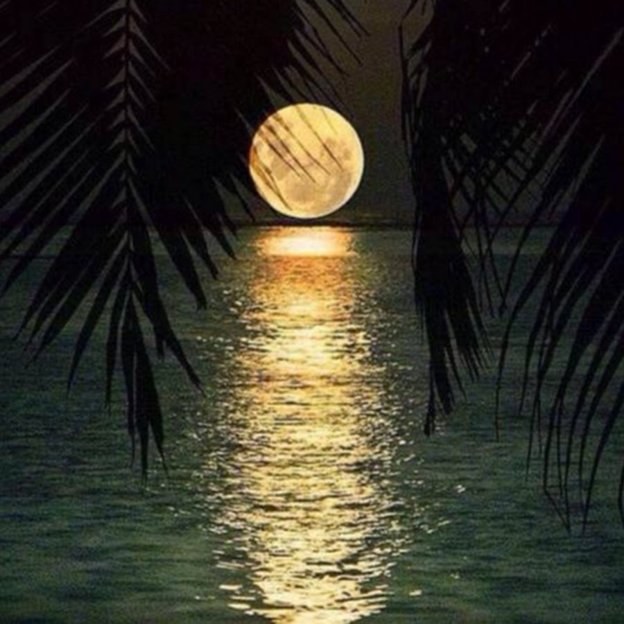 Природные явления Луна