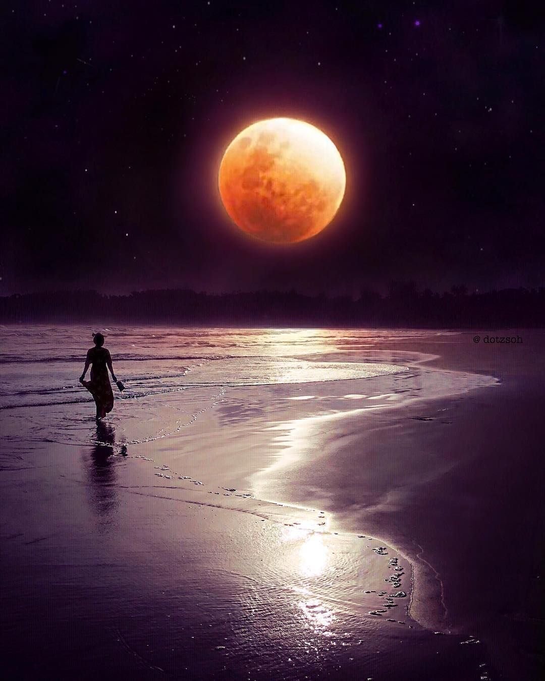 Лунный свет картинки