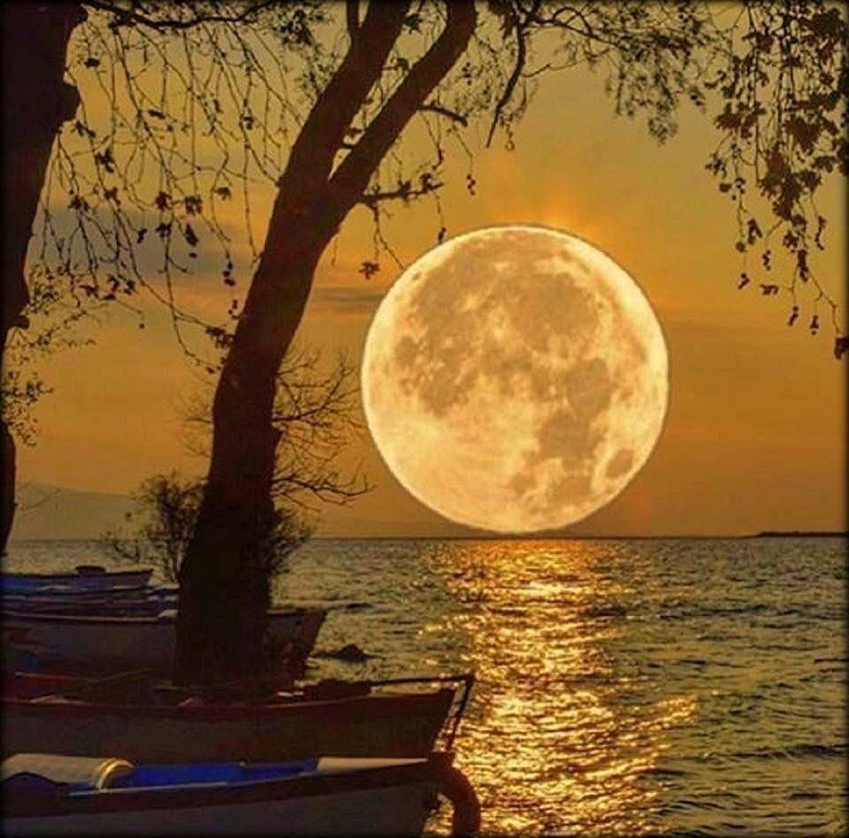 Луна звезды море