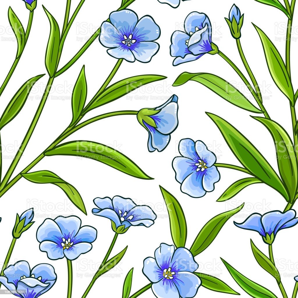 Лен рисунок