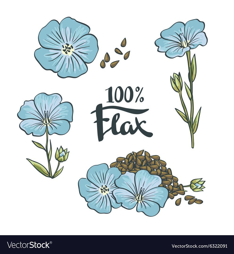 Лен клипарт