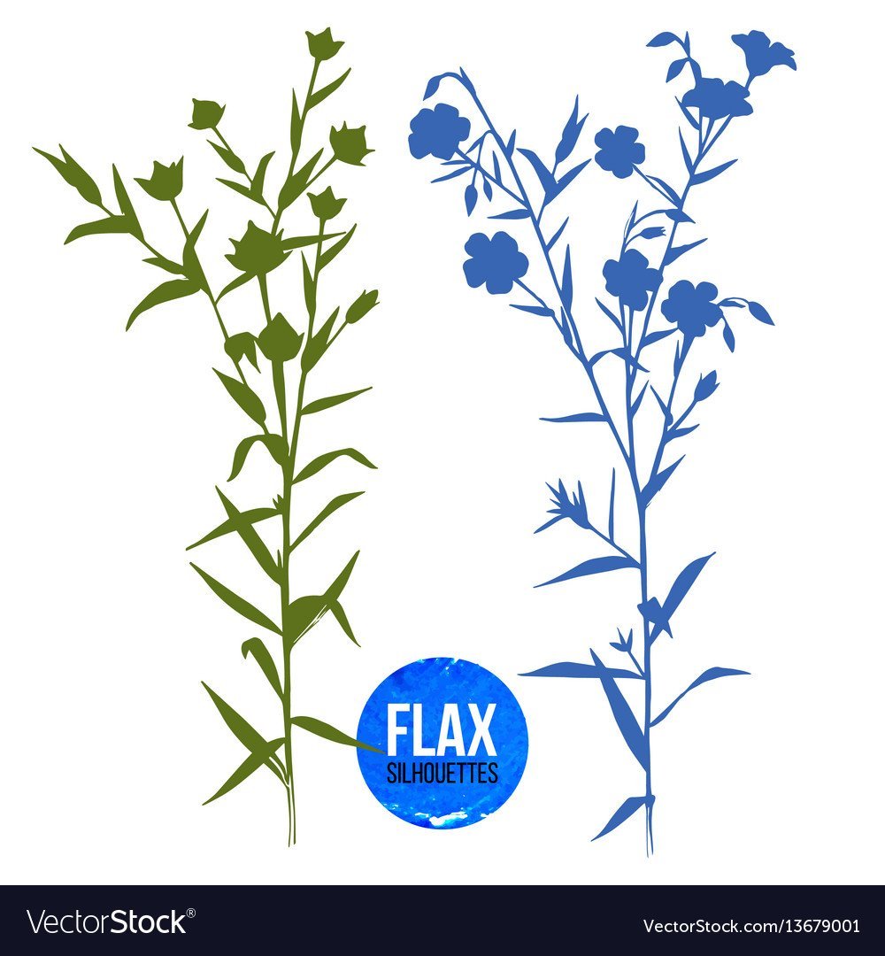 Лен картинка для детей