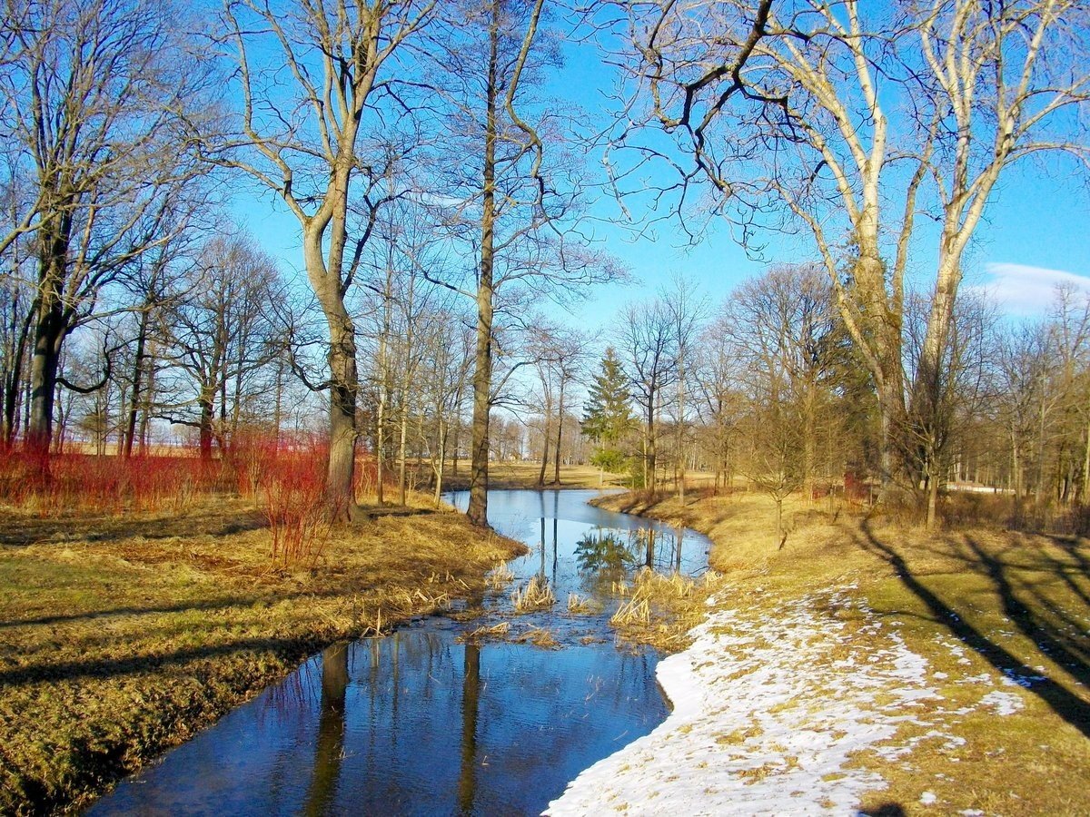 Весна природа