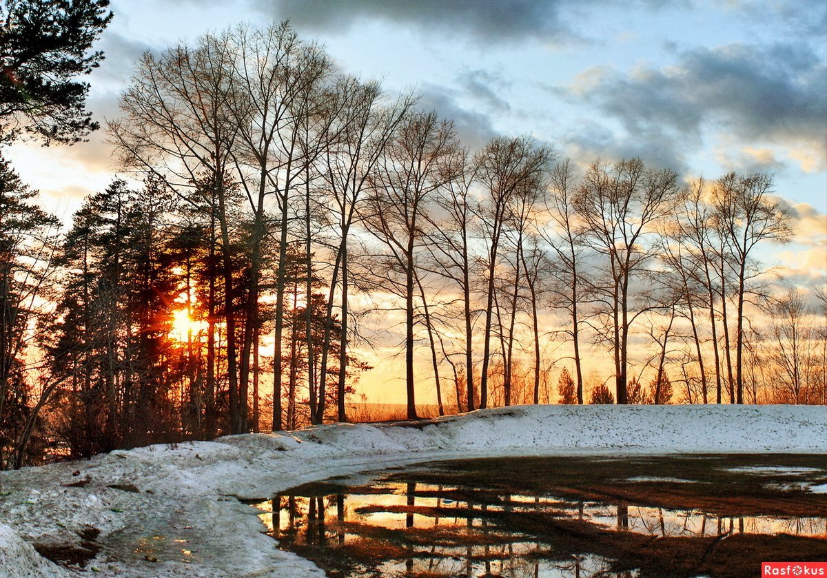 Мартовский пейзаж