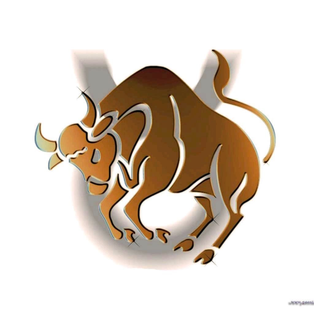 Тату быка эскизы